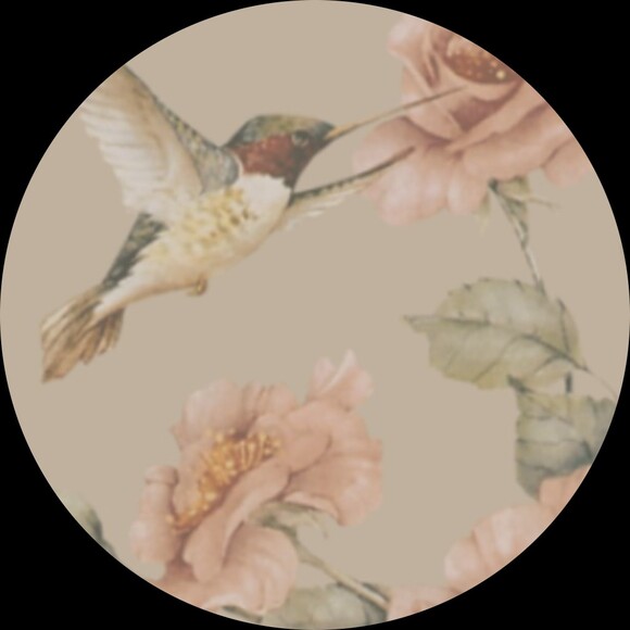 hummingbirdgems